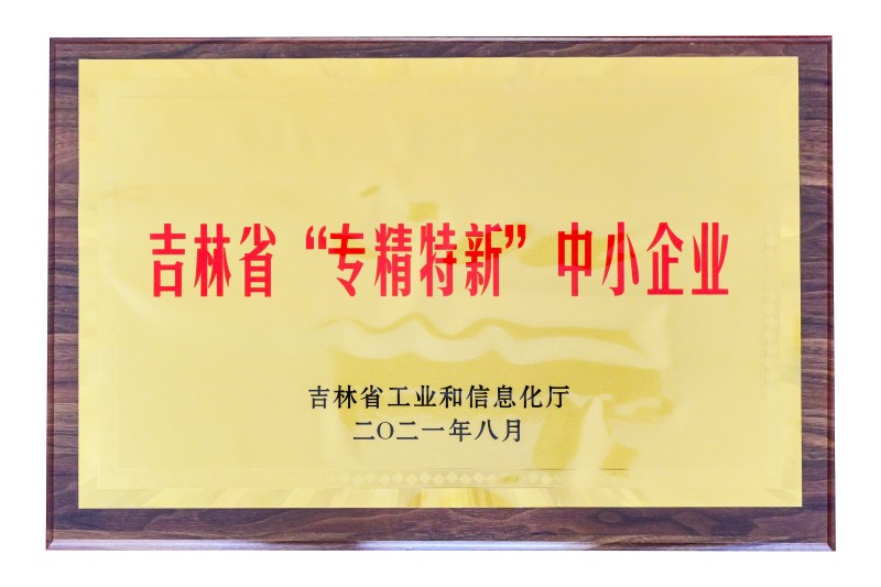 吉林省专精特新中小企业