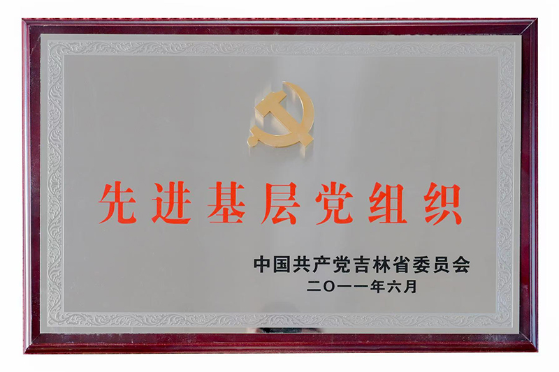 先进基层党组织